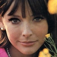 Brenda Scott Nua